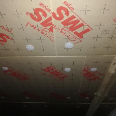 Isolation Plafond Garage